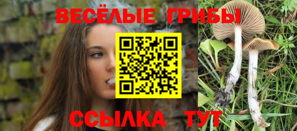 Псилоцибиновые грибы MAGIC MUSHROOMS Мценск
